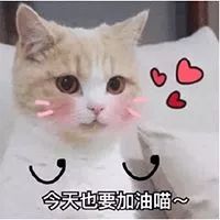 ʦ赸Ƶ3_ʦ赸ʲô_ʦ赸