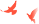 Էʼ_ô_Էͼ