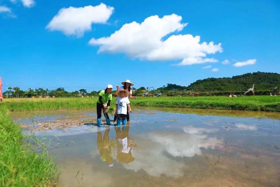 �μӺ����ѧ���Ե�ѧ��_������ѧ����_������ѧ���������ҽ��ܷ���