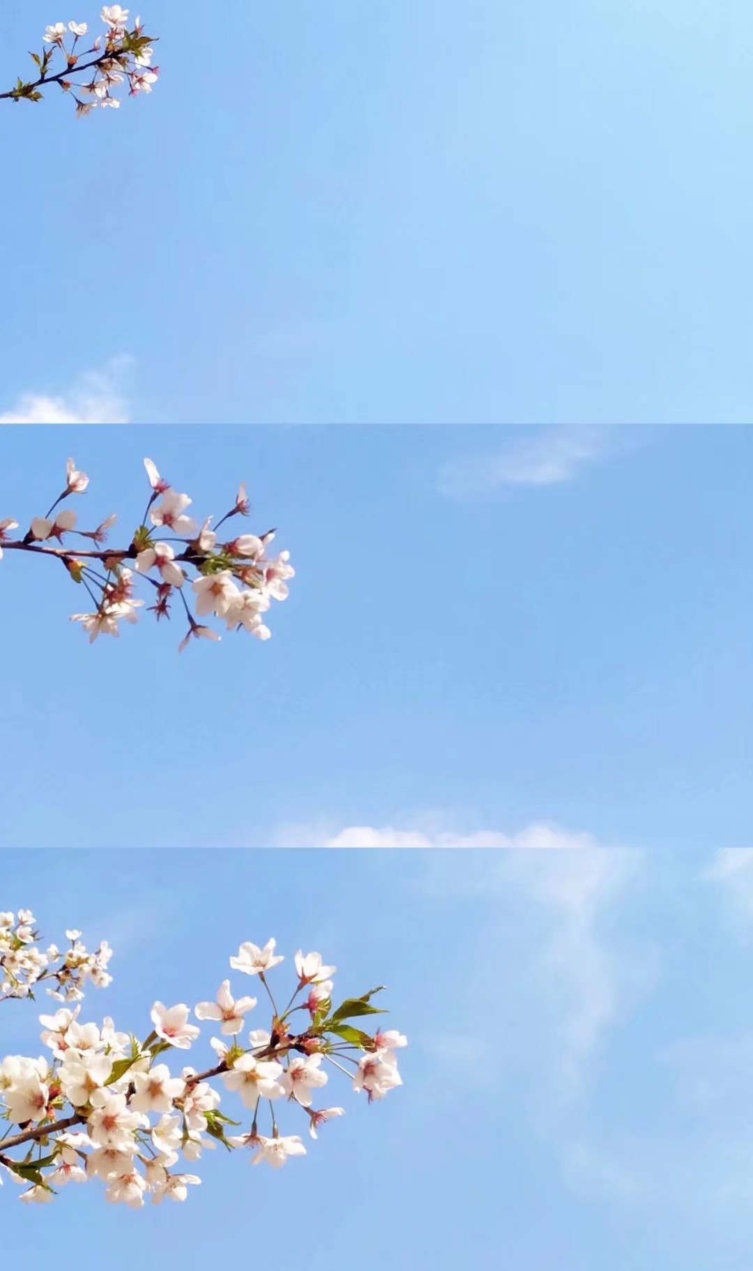 нʦ֤Կʲô_нʦʸ֤_нʦʸ֤Ҫ