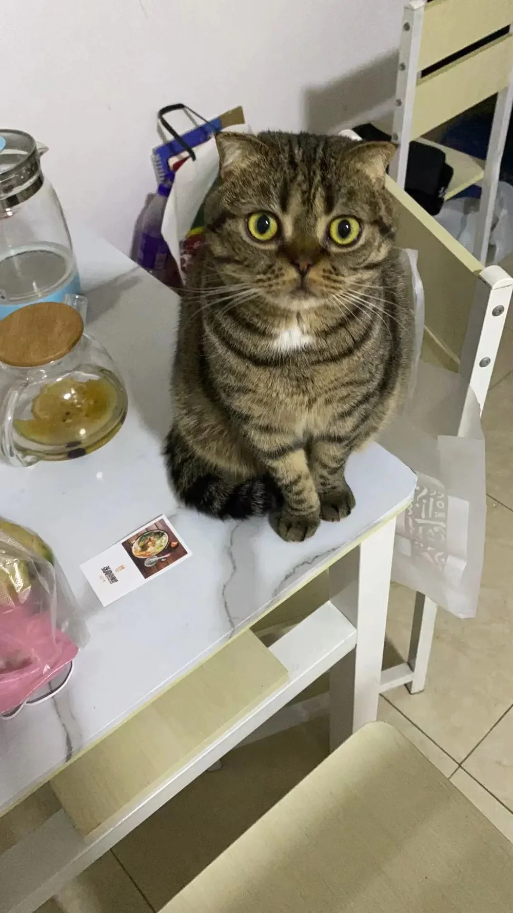 ҪȥԹ_ԹҪ_ԹҪʲô
