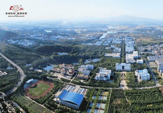 鲁南制药面试内容_鲁南制药业务内勤面试_鲁南制药业务员面试