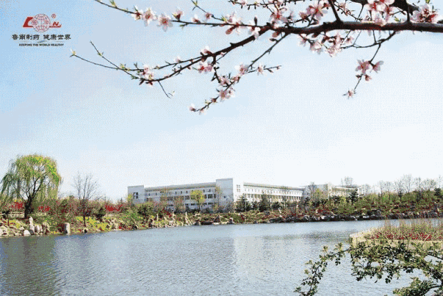 鲁南制药业务员面试_鲁南制药面试内容_鲁南制药业务内勤面试