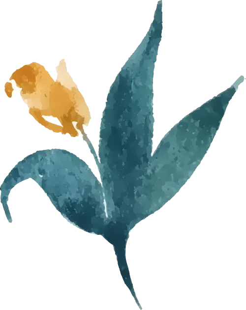 苏州外国语学校教师面试_苏州外国语国际学校面试_苏州外国语教师招聘面试难吗