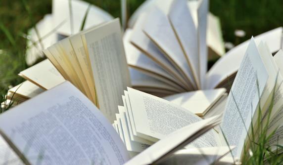 2023����Ԥ����ٷ���������