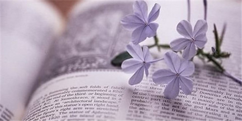 金融专业英语面试_面试英语金融专业怎么说_金融复试英语问题