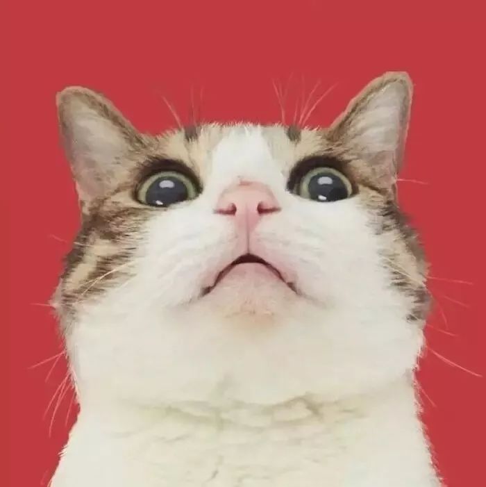 考研面试英文介绍_考研英语面试新闻学自我介绍_新闻专业英语面试